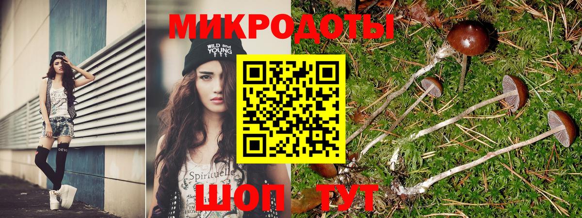 что такое наркотик  Галлюциногенные грибы мицелий  Вход с VPN  Галлюциногенные грибы Psilocybe  Тула 